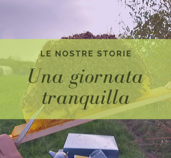 Una giornata tranquilla
