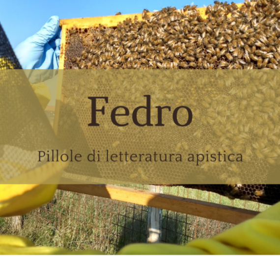 Le api e i fuchi in tribunale – Fedro