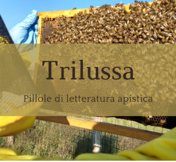 Trilussa e le api