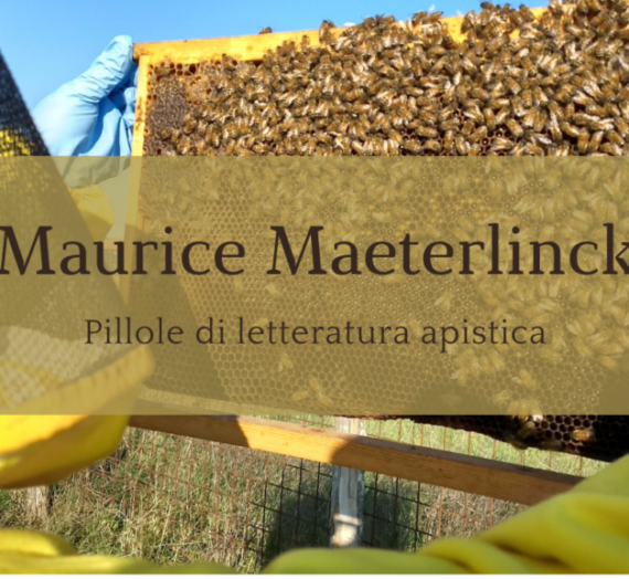 La vita delle api – Maurice Maeterlinck