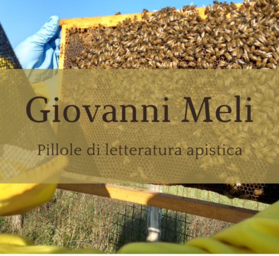 L’ape piccoletta – Giovanni Meli
