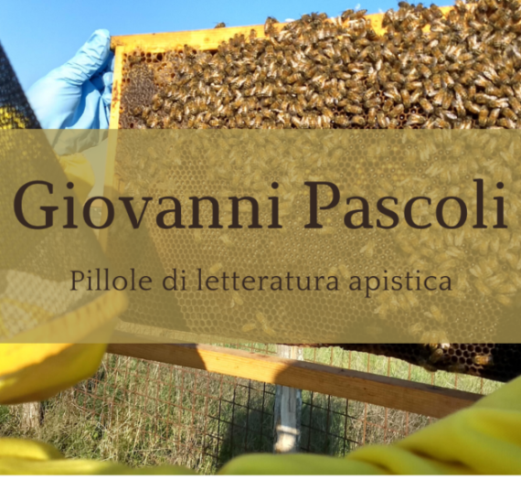 Il gelsomino notturno – Giovanni Pascoli
