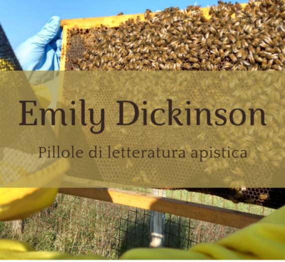 Emily Dickinson e le api
