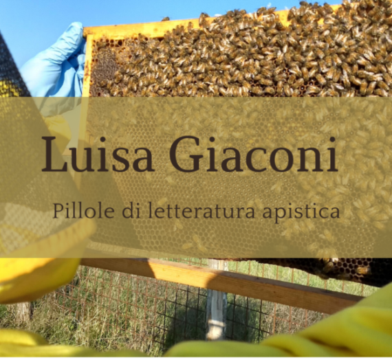 L’ape in tribunale – Luisa Giaconi
