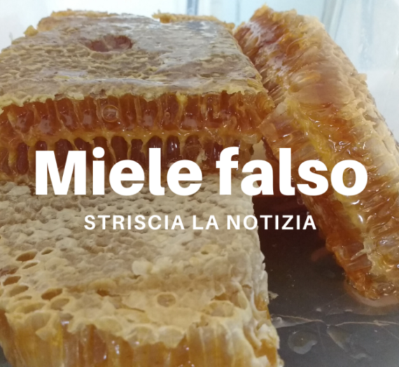 Miele falso – Striscia la notizia
