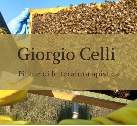 L’ape, un insetto zen – Giorgio Celli