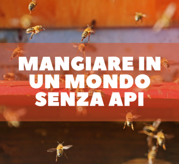 Mangiare in un mondo senza api – Pesto alla genovese