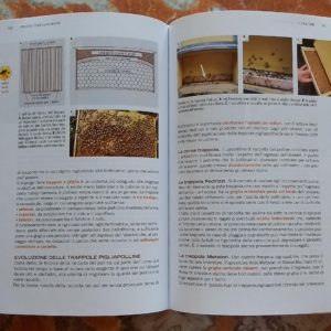 Apicoltura tecnica e pratica di Alessandro Pistoia Libri di apicoltura (1)