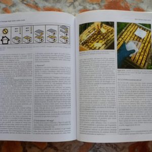 Le api di Alberto Contessi Libri di apicoltura (2)