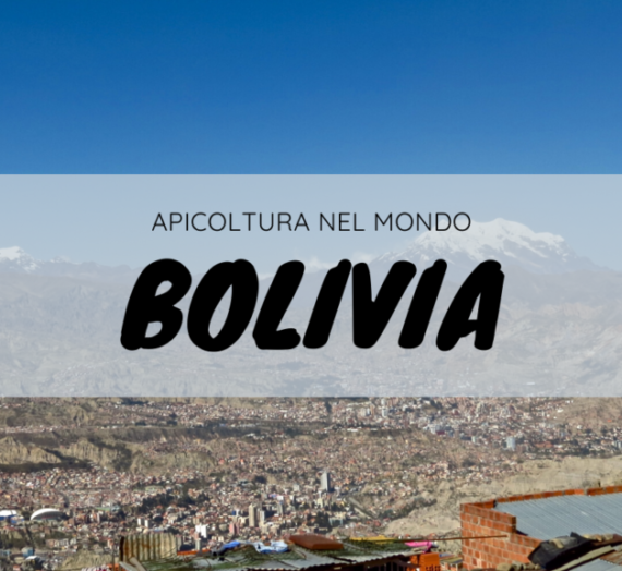 Coca e api in Bolivia