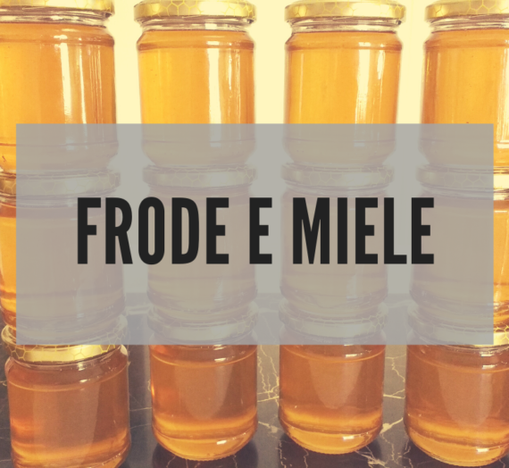 6 tipi di frode nel mercato del miele