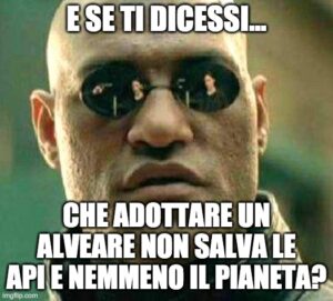 adotta un alveare
