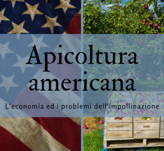 Apicoltura americana: l’economia ed i problemi dell’impollinazione