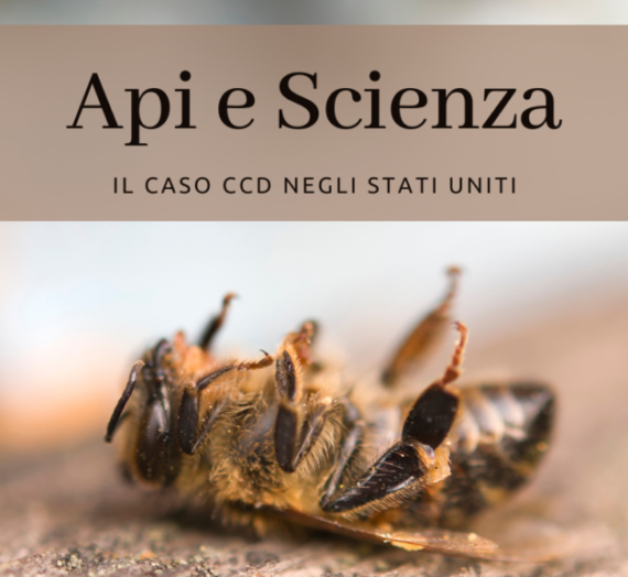Api e e Scienza: il caso CCD negli Stati Uniti